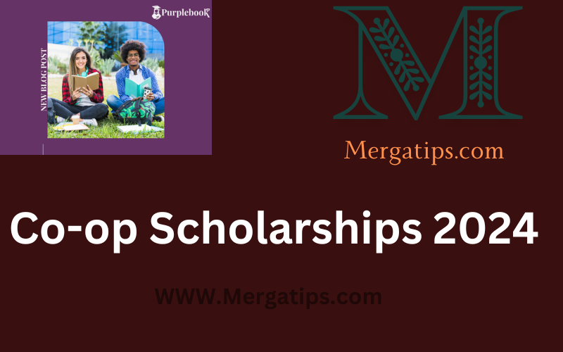 Co-op Scholarships | 2024